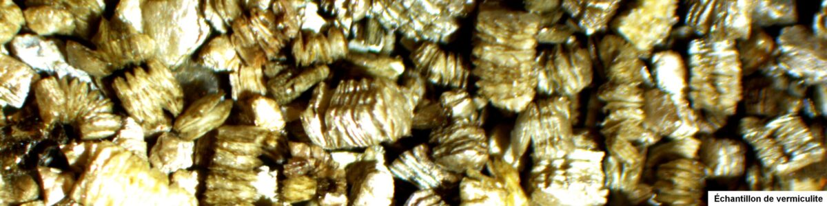 Vermiculite (amiante)